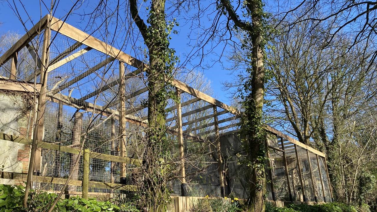 Newly built exhibit at Dartmoor Zoo 