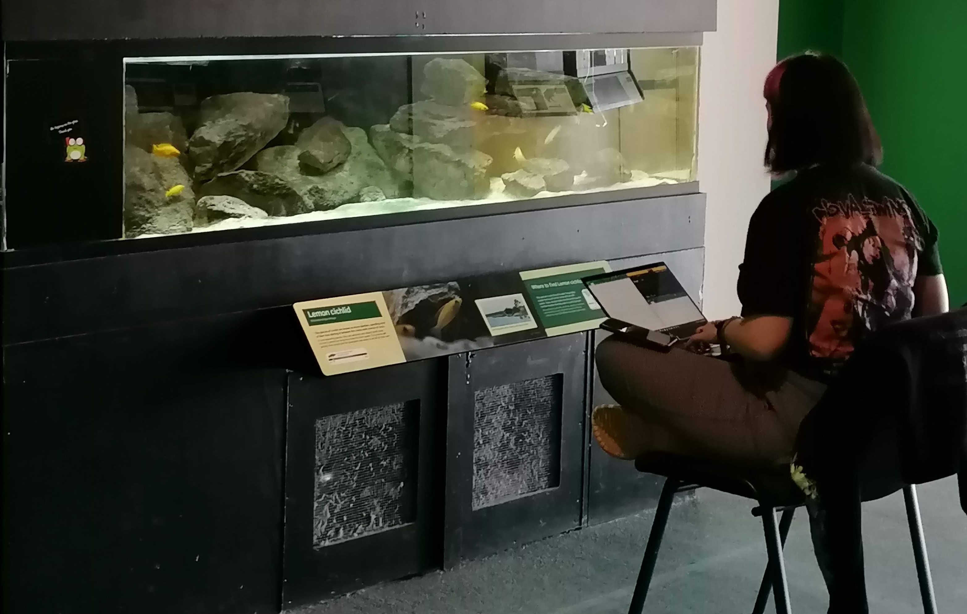 A welfare assessment taking place at a fish habitat