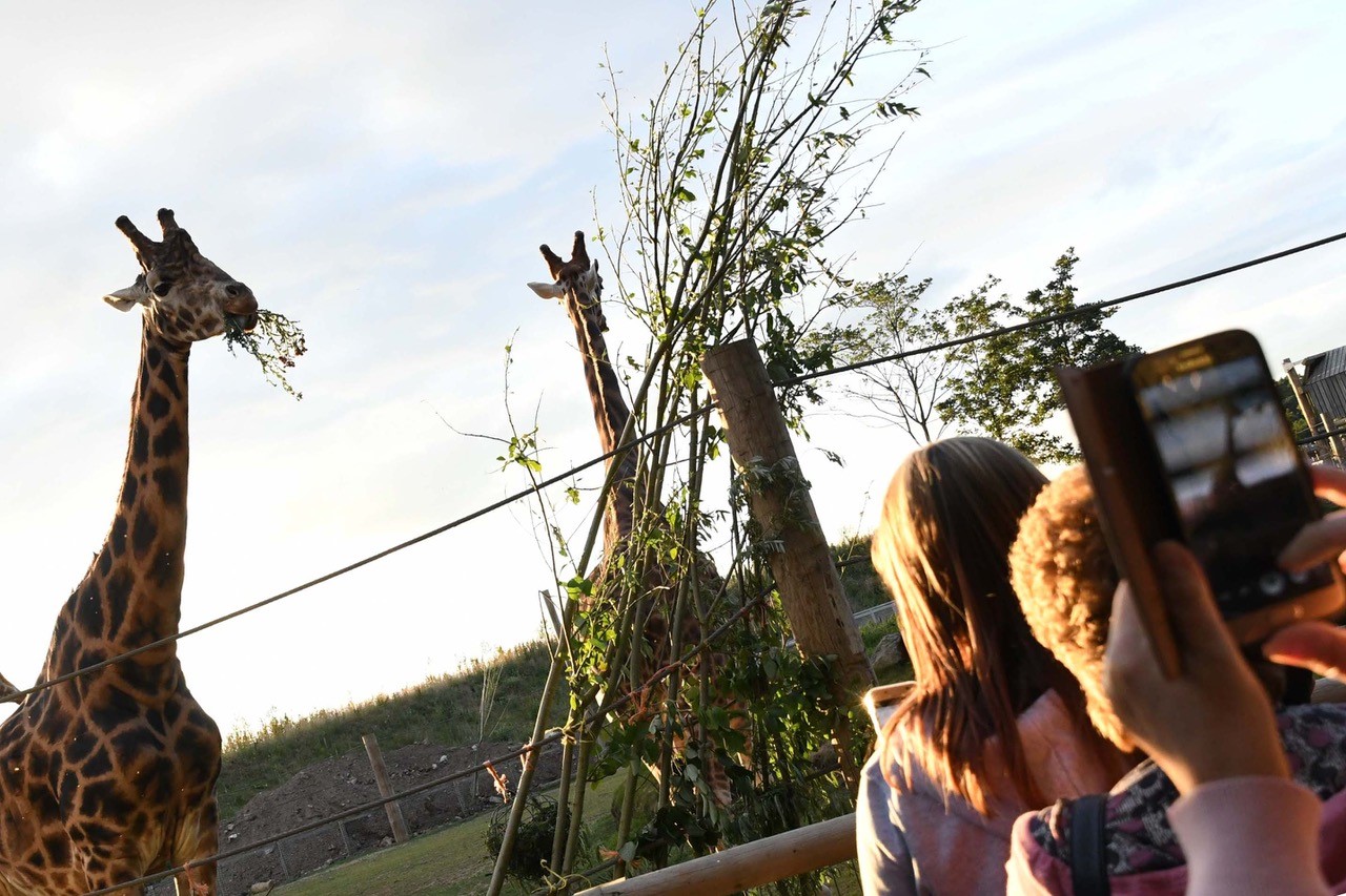 Yorkshire Wildlife Park