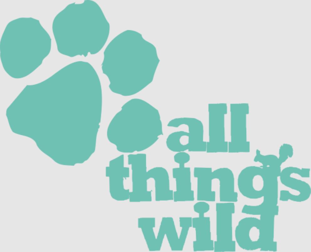 All Things Wild