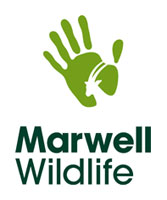 Marwell Zoo