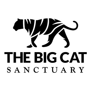 The Big Cat Sanctuary