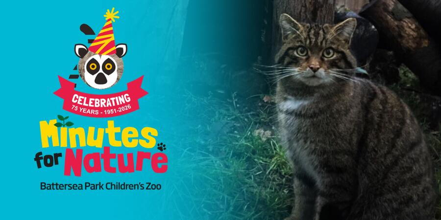 Battersea Park Children's Zoo launches a nationwide campaign during its ...