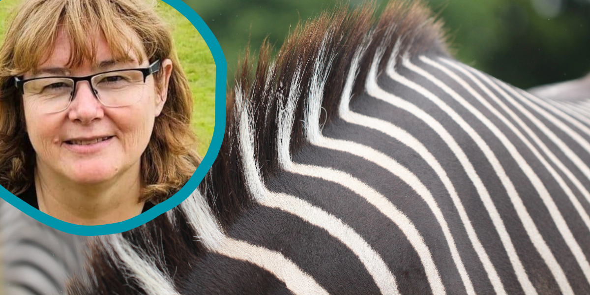 BIAZA CEO makes the blooloop 50 Zoo & Aquarium Influencer List 2025 | BIAZA