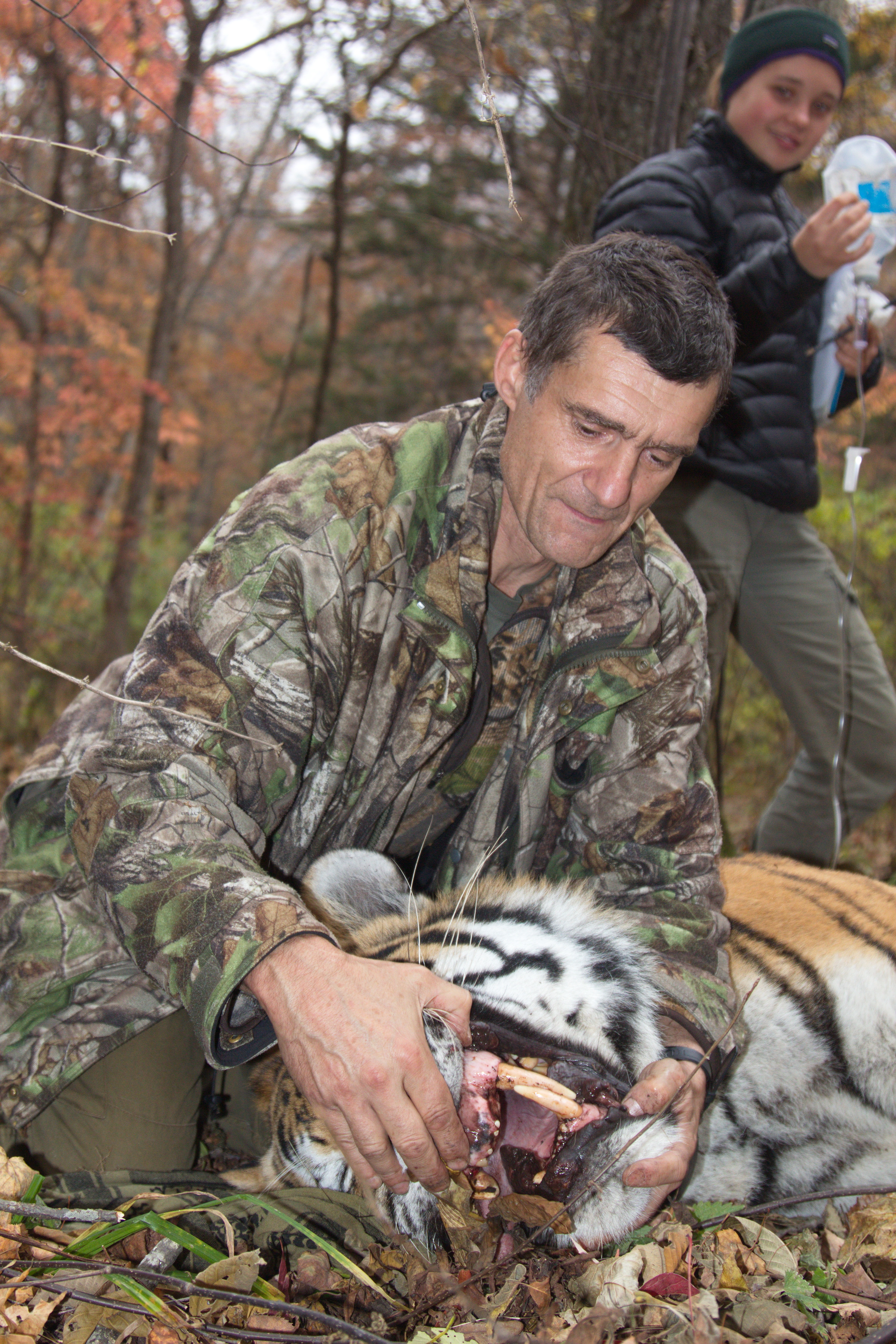 What Happened To Monkey World Vet John Lewis? Unveiled!