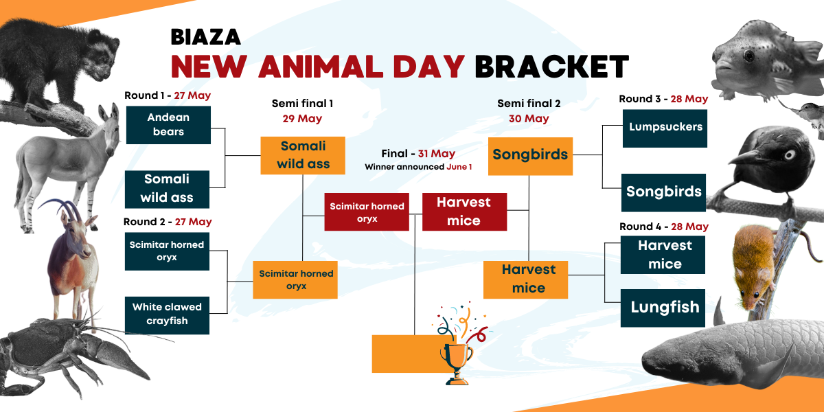 The BIAZA New World Animal Day - Vote in the final! | BIAZA