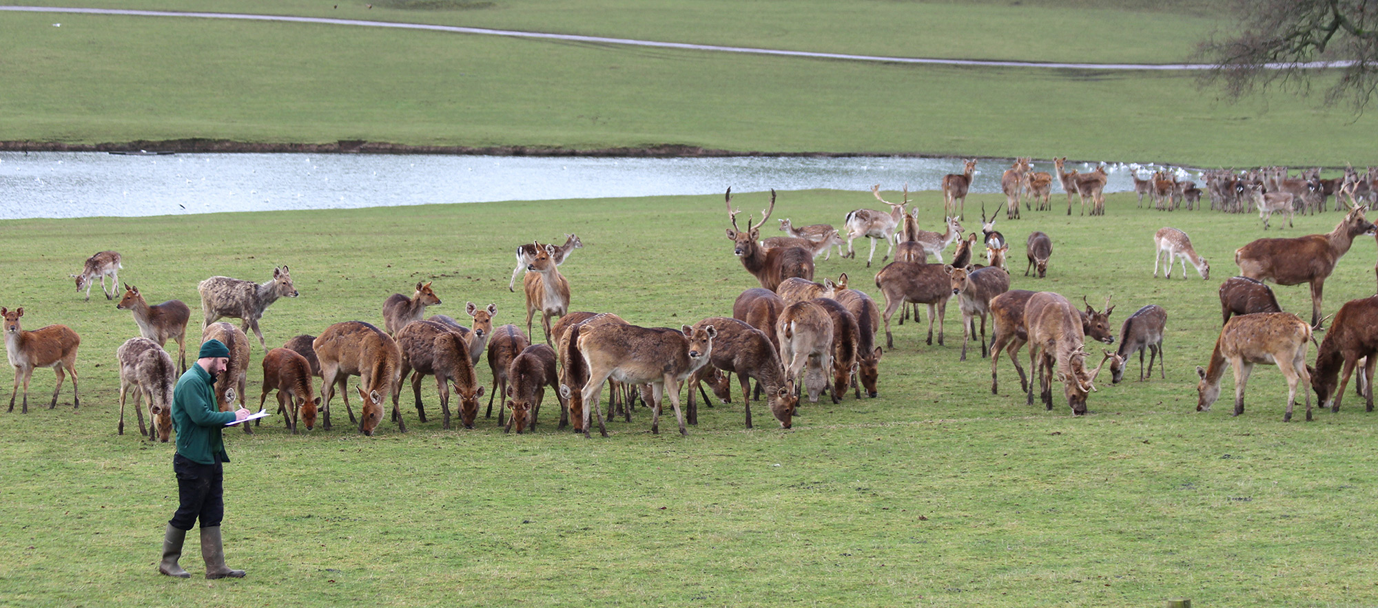 Population managment