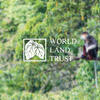 World Land Trust Partnership