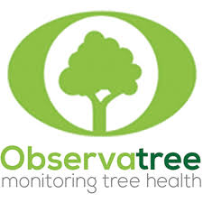 Observatree logo, a green tree inside a letter O.
