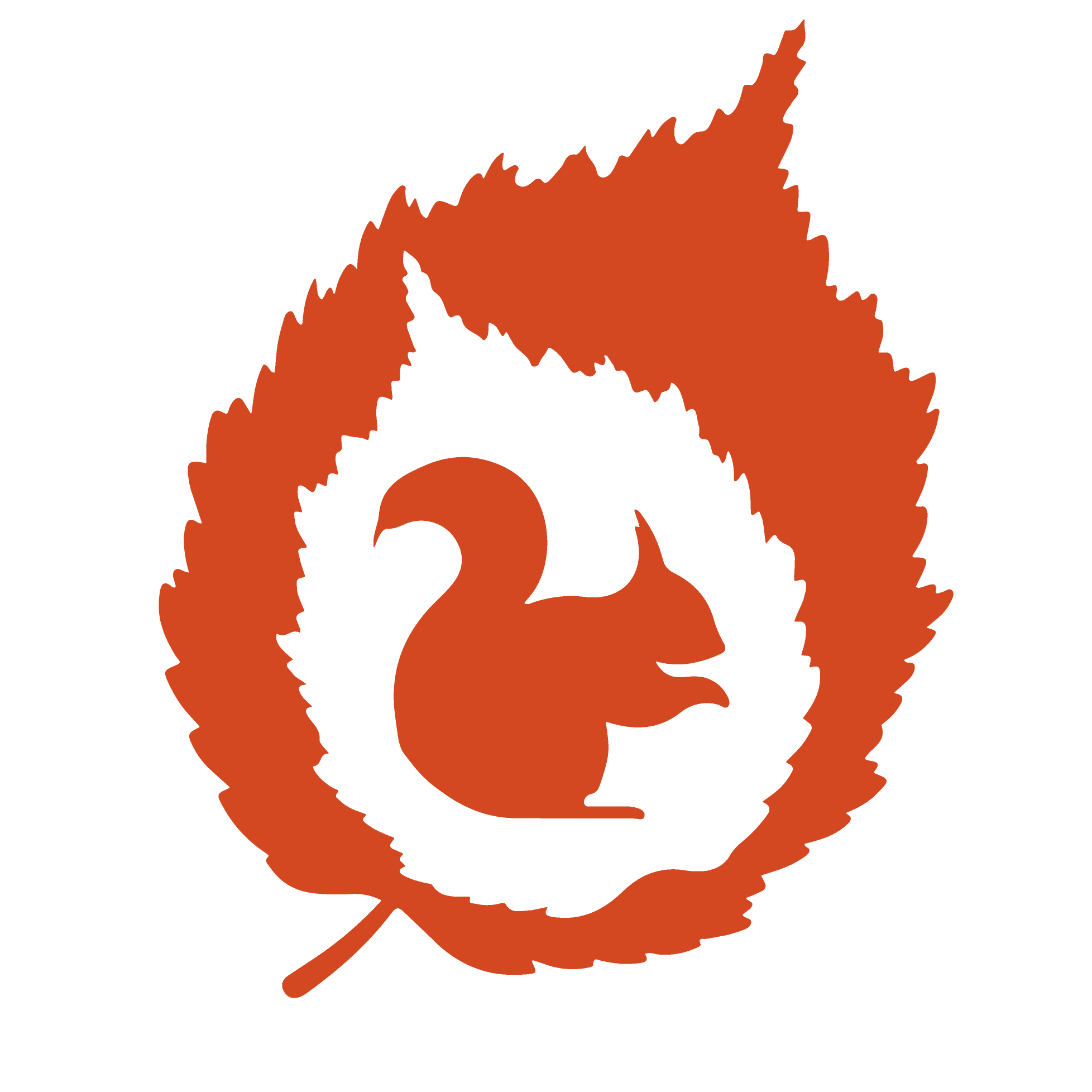 UK Squirrel Accord logo, silhouette of a red squirrel on a white leaf on a larger red leaf.